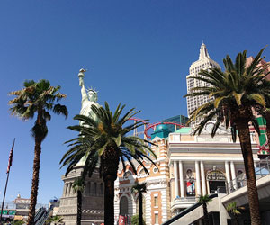 USA 2014 - Viva Las Vegas!