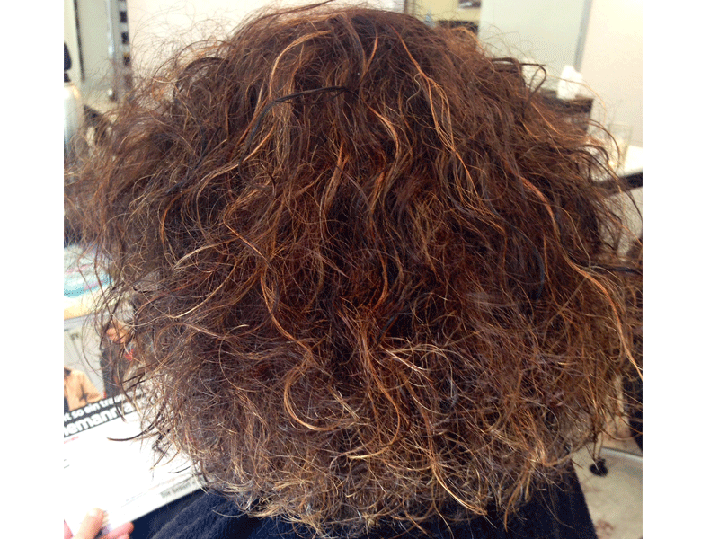 haare am arsch stutenmarkt haare am arsch stutenmarkt