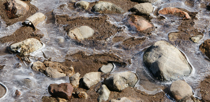 Get Vergaenglichkeit des lebens Desktop Wallpaper Free Vergaenglichkeit Des Lebens